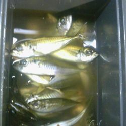 気持ちいい釣り